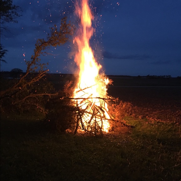 Meet your Posher, Collin - Picture 1 of 1